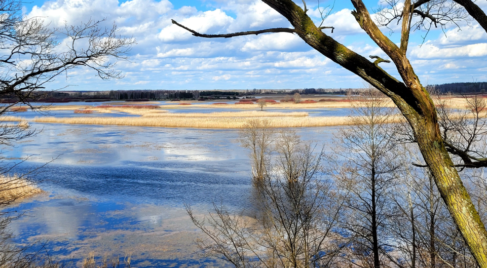 L’Union européenne et la question environnementale: à la croisée des chemins.